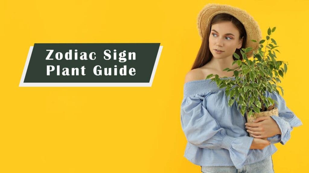 The Best Plants for Your Home Based on Your Zodiac Sign